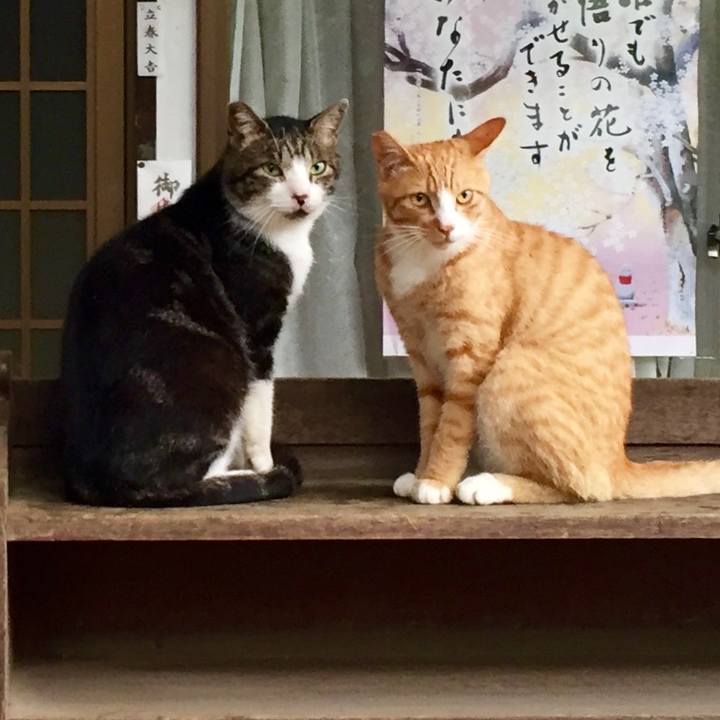 91dbb504 435d 4784 9bfe ca88afa75dbc