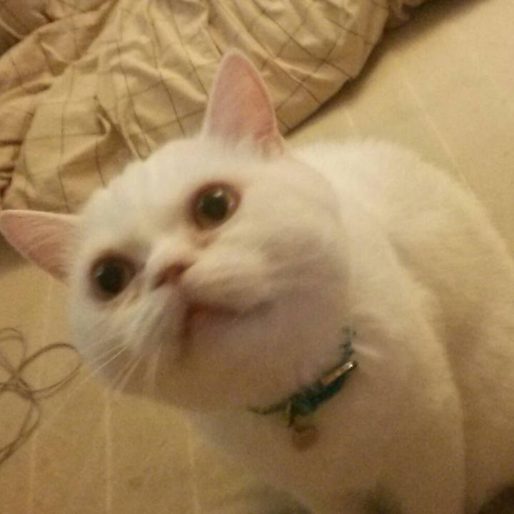 91dbd051 30f5 4d0a acad b84cfa3a62b6