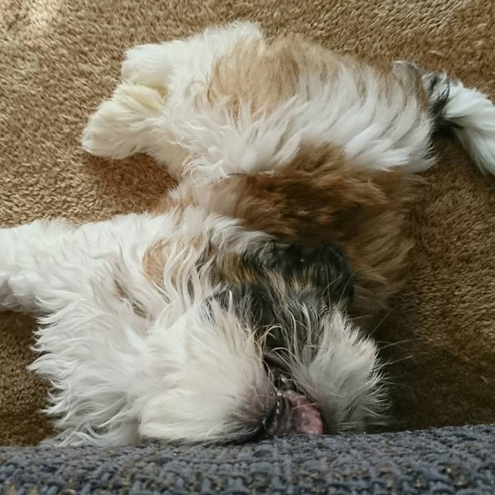 91dbd241 5ada 4b60 b548 791345a7d7c4