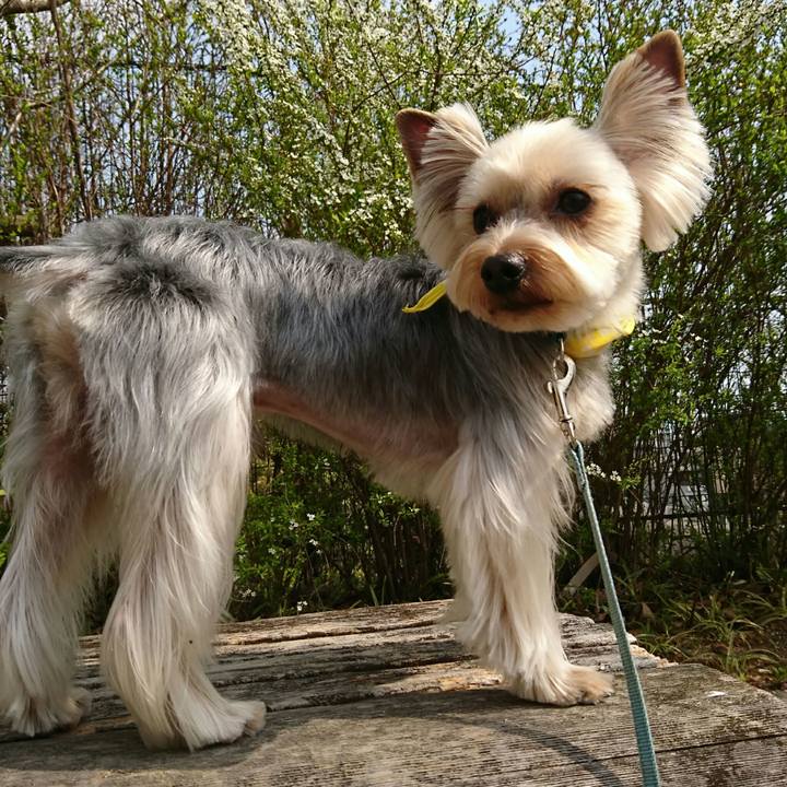 91dd2f4d 9fa8 44ab 9440 906dad049b98