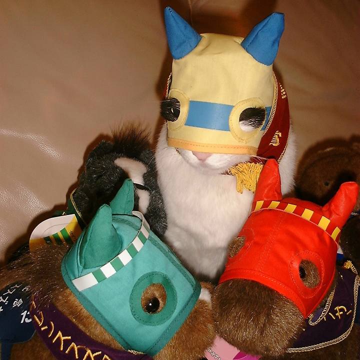 91dd3d5e 3d42 4c27 afa3 50d330cefddb