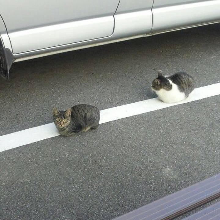 91dd8a3c e5f9 4def 8ae1 dbe2ee0c9dc8