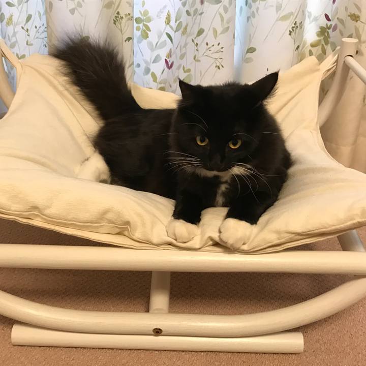 91dd9903 cb57 4231 9fa9 23c1e013db5d