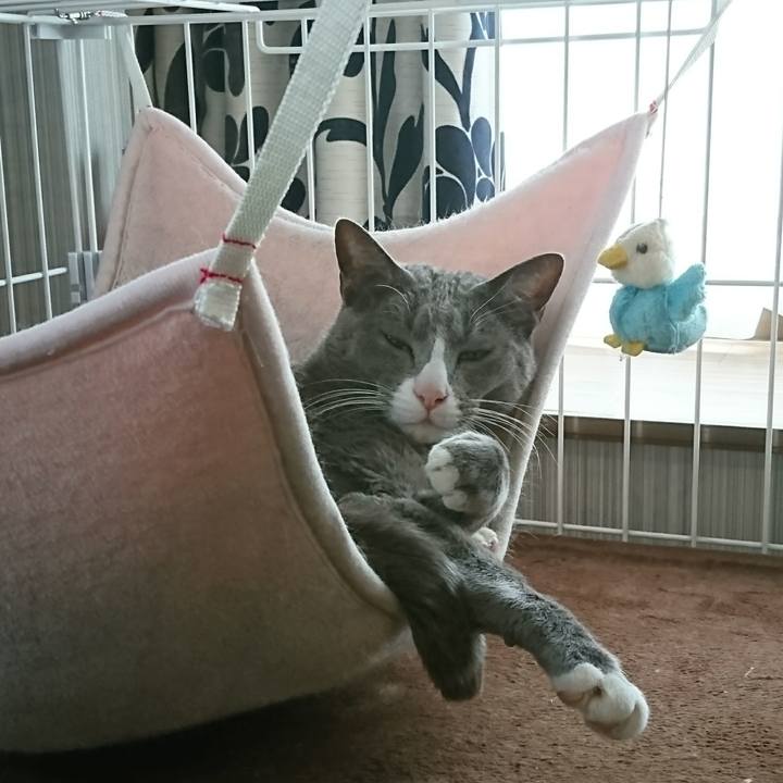 91dda411 b3f7 40ae a729 5faf6e53fbb7