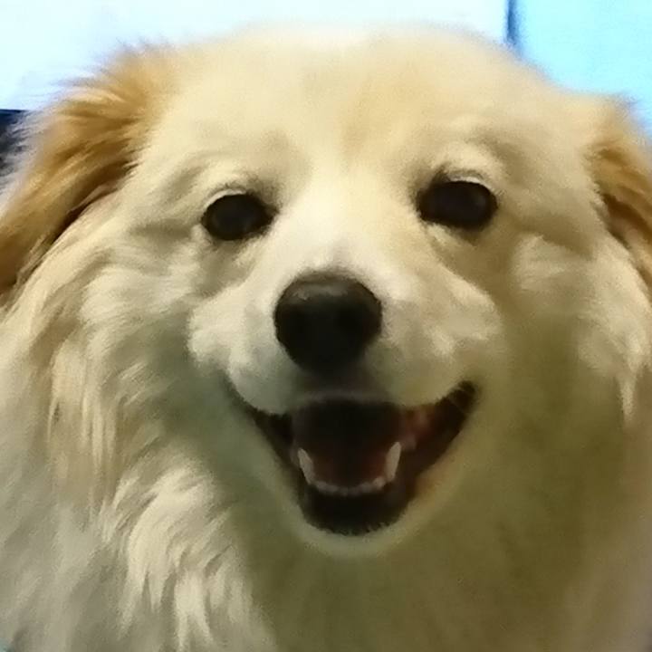 91dea35e 6a13 4b44 92a8 7691b5ade430