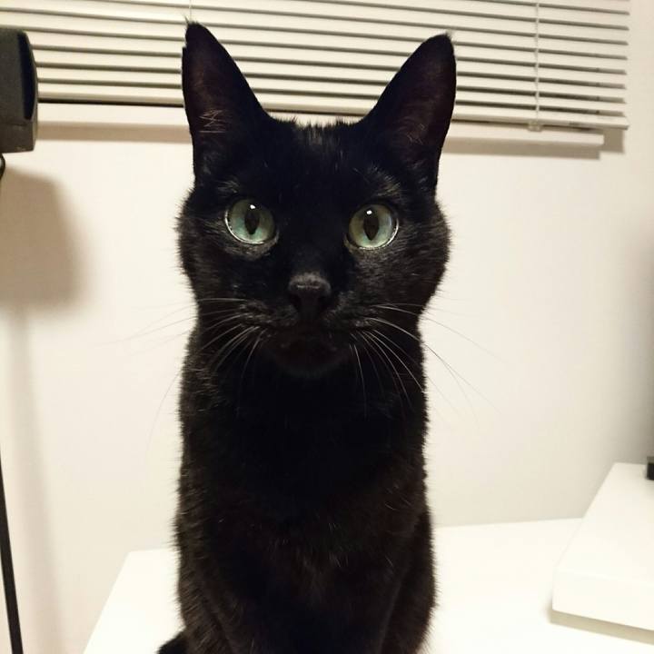 91deffd6 1065 4ee8 ad67 1a9b39f65e40