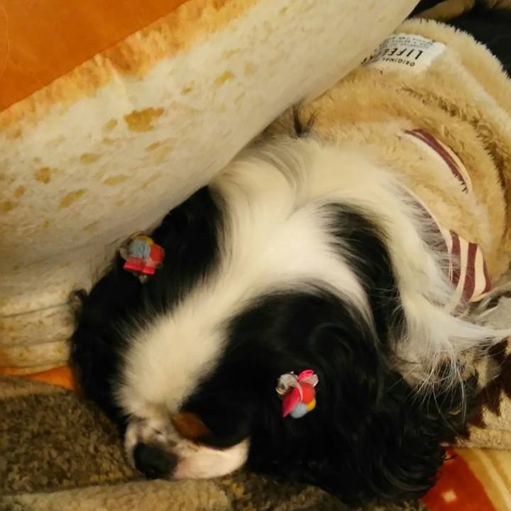 91dfd193 828d 4fae 95e1 b67e987c694d