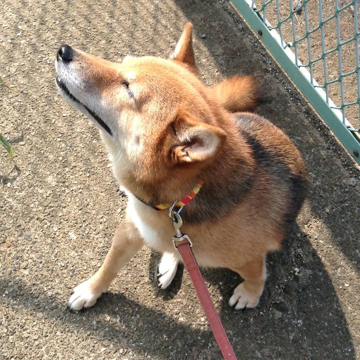 91e0beeb bbc5 43e4 83af 741eb44edb98