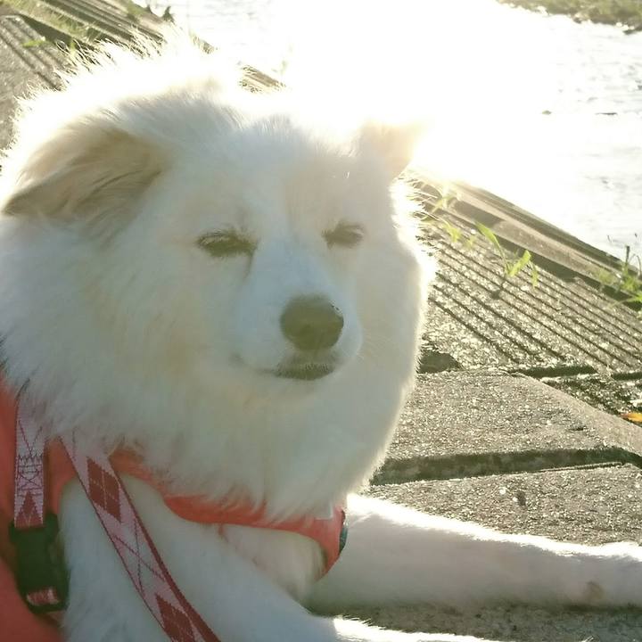 91e0ebf0 fff2 4f84 ad73 282ea0fe743a