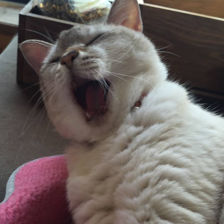 91e19211 876d 4060 9cb8 6c6787a5ea19