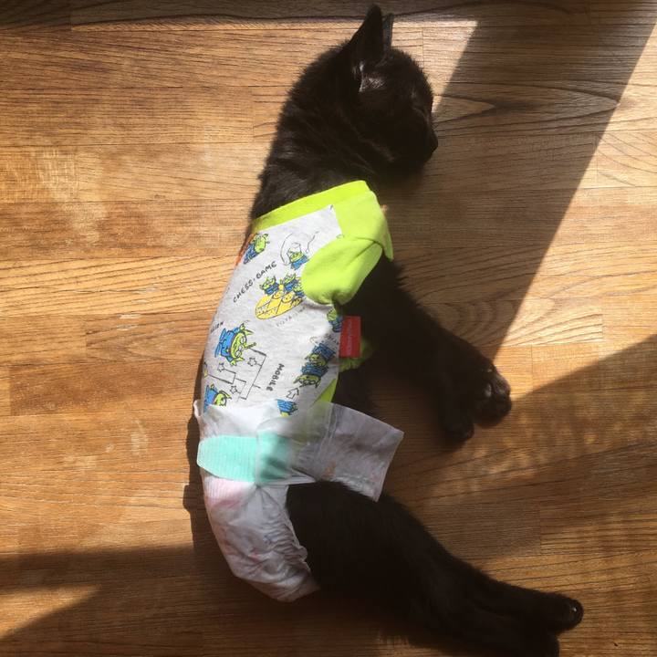 91e1cfef 9e9e 4412 a561 8b15efb0b0df