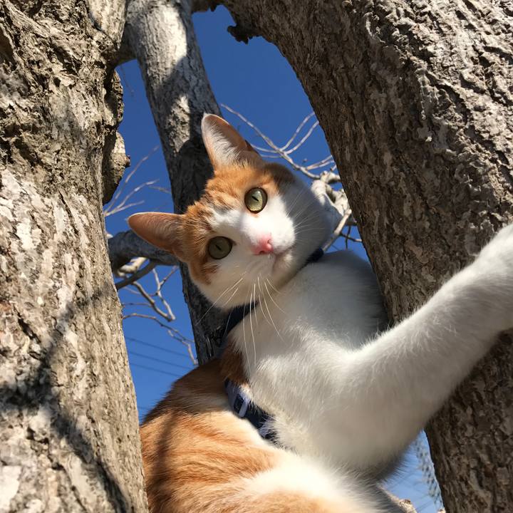 91e20dd1 991e 488f 8c64 062fc5e85f63