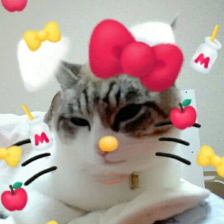 91e2308c e315 4642 8f1c c359a18040d3