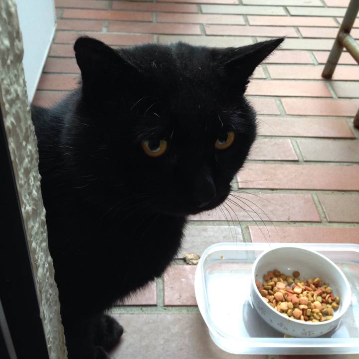 91e2845c 7695 4e2a 9f2e d4b4fb8e1e5b