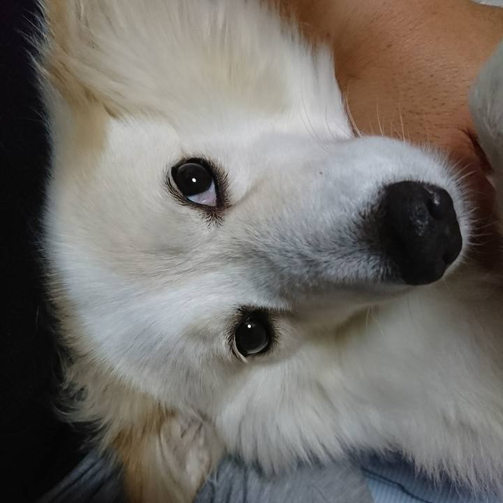 91e2928d 95ab 4104 8c55 fd15f63d7799