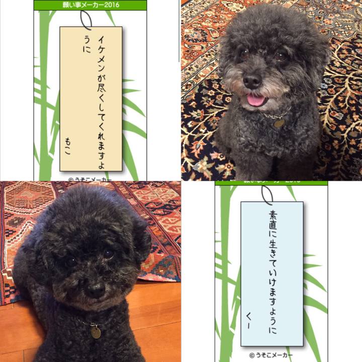 91e3728e 11f3 405a 9b4f dd9bb2d63874