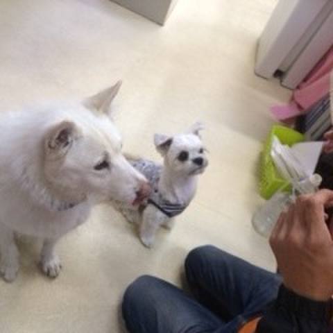 91e44da7 dede 48a2 821e 04f6baa1ca03