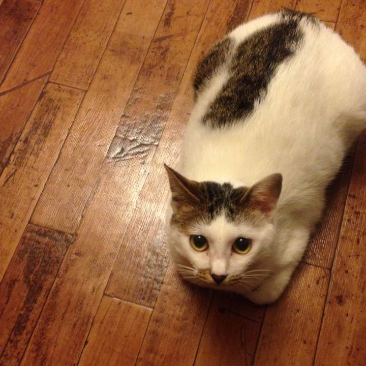 91e4baa2 c060 443f 9e82 d0b409fc3d08