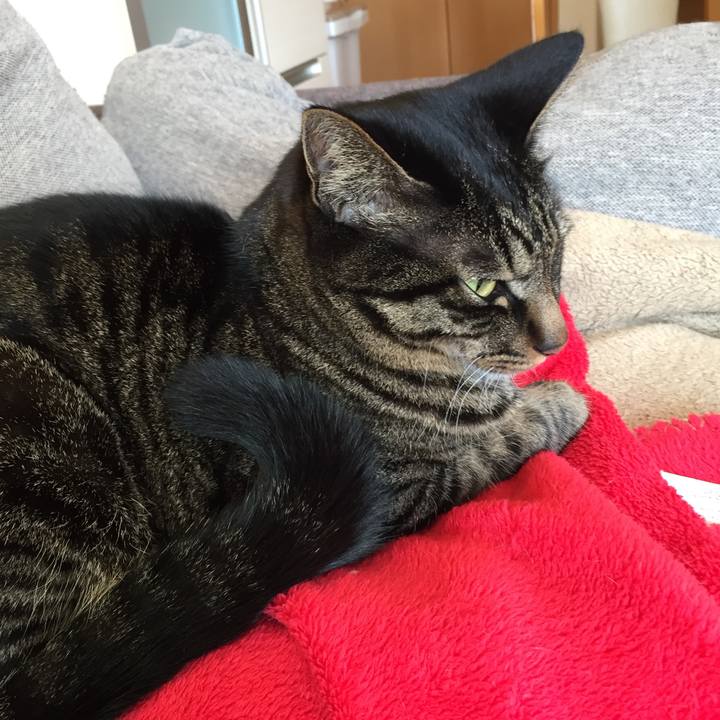 91e5f61c 6d76 4d10 bbaf 2945f1189f6e