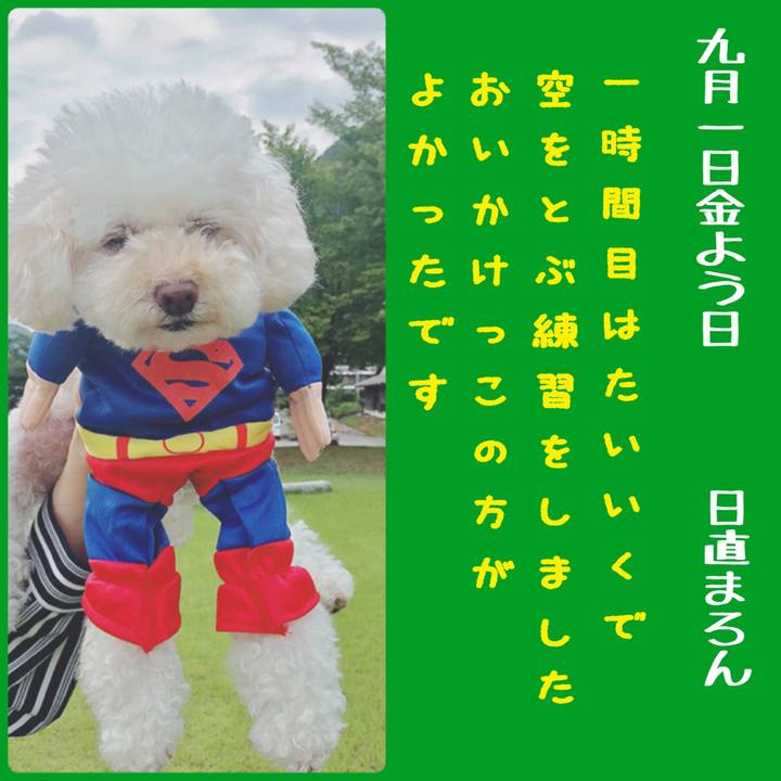 91e65acd ea7b 4e63 890f ae2f210c9144