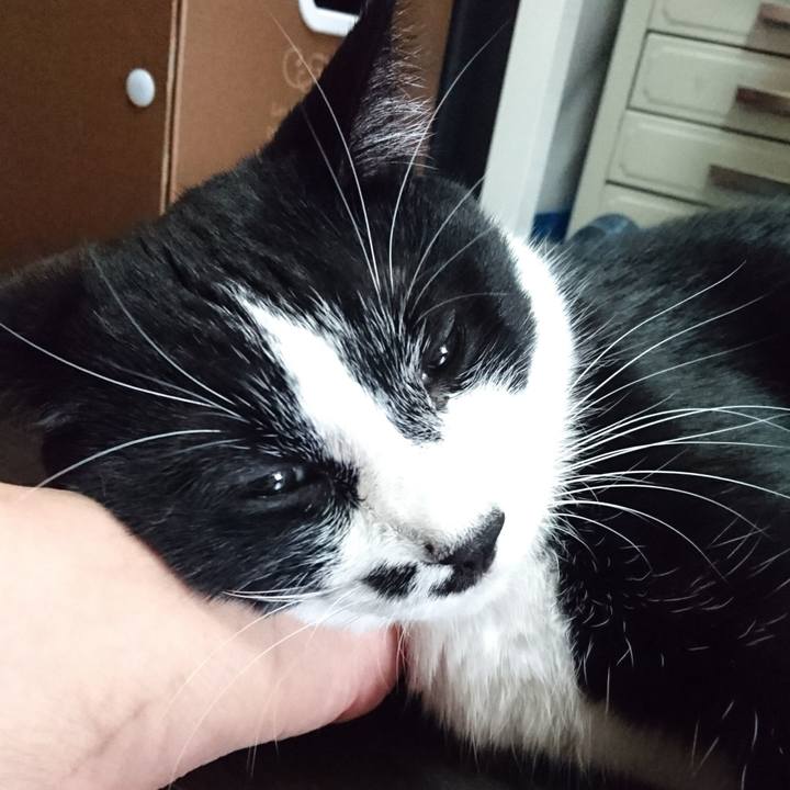 91e6fcb0 7b75 4c5a 86ce a065b181ac5f