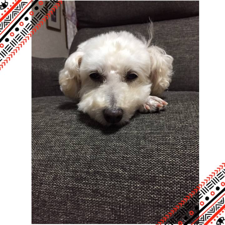 91e74f28 2490 47ce 936e 79fa56c04eda