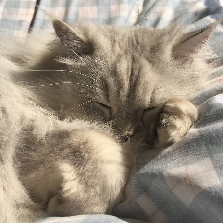 91e8a9fe d707 4e58 b5fc a04634188c46