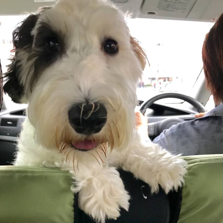 91e92788 3cbe 4e9f bf2c 4d25d2560449