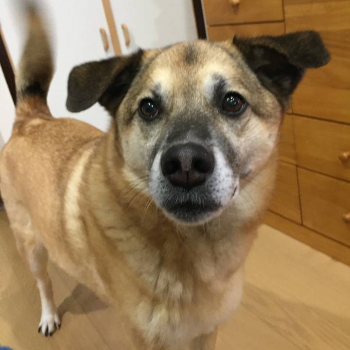 91e95581 9dd0 4efa 8db0 97bbe1f3d353