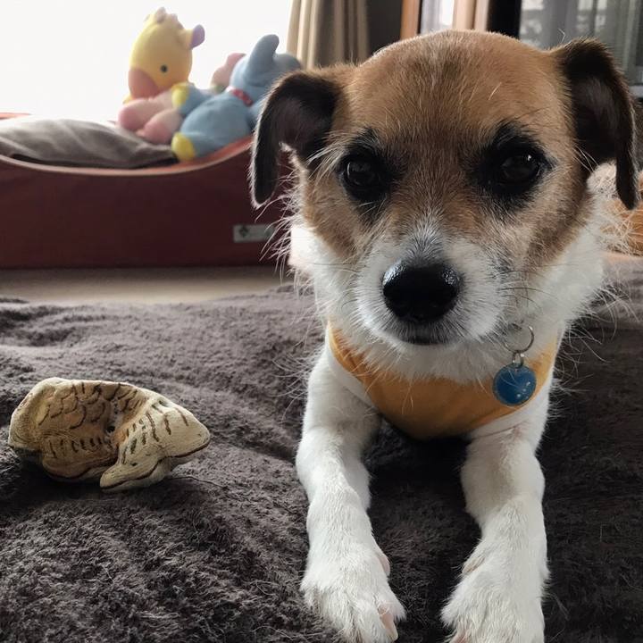 91e9788d fb04 4c9e ac71 e9abd81ba5e5