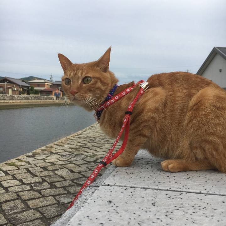 91e98cc5 8b8f 47d9 8e12 db69b9acf6da