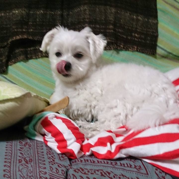 91ea27cf 5040 43ce a697 db91806b2548