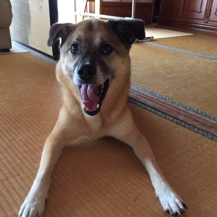 91eaac38 9e07 4e16 bbab 0a702a9f4cca