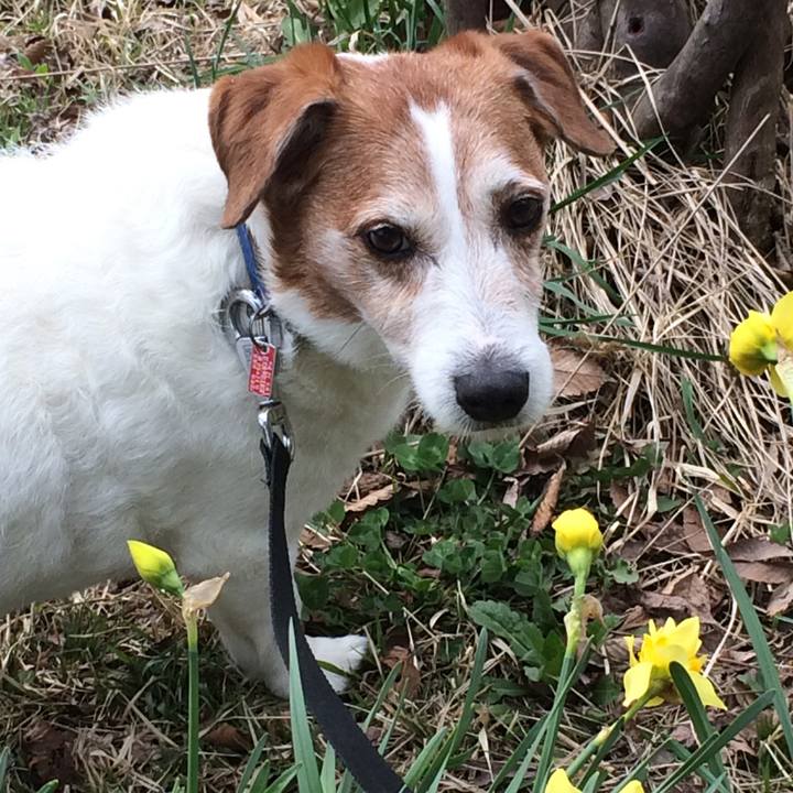 91ead7a0 5253 48b6 834e 7503e992f366