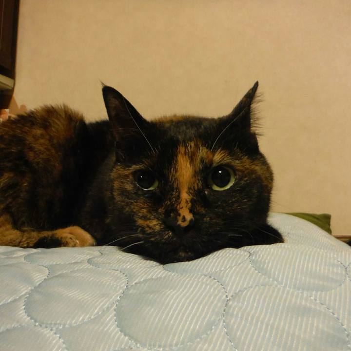 91eb3fd8 e81a 49f8 98ae 68c9a5d4676c