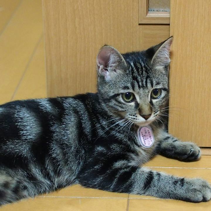 91eb54b4 83d8 41cd ae3e 6900823cc14d