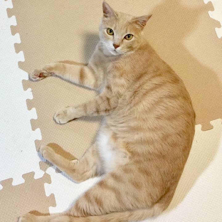 91ebff20 378b 4b9c 8a85 8660cdee8d4d