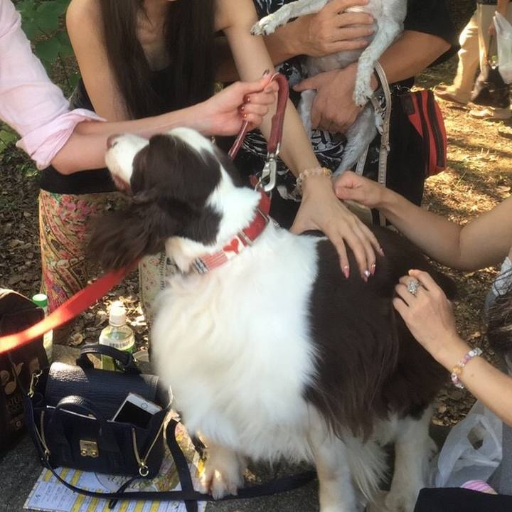 91ec1d60 ea77 4346 8d33 89648e4ff8c3