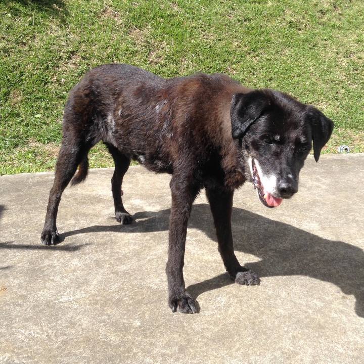 91ec4991 3f34 44b7 918d e59745c9d0ad