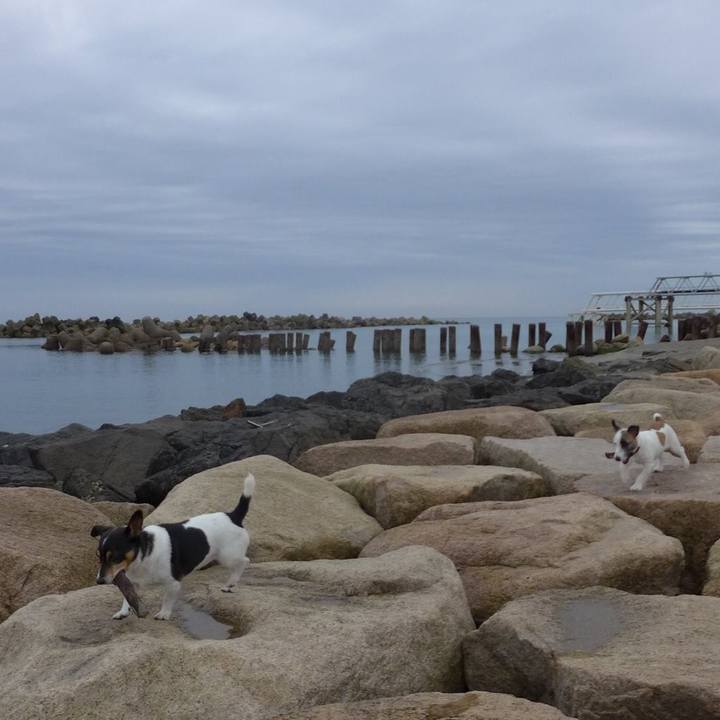 91ed2930 0a6a 4642 b165 89230f610f69