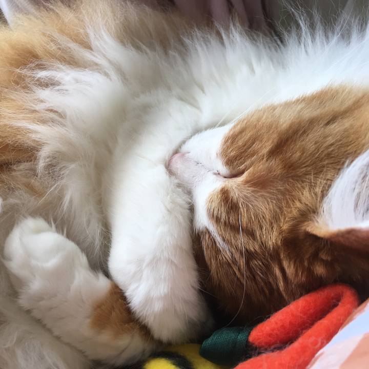 91ed76f4 3199 4ce1 8b52 8a504ab69f13