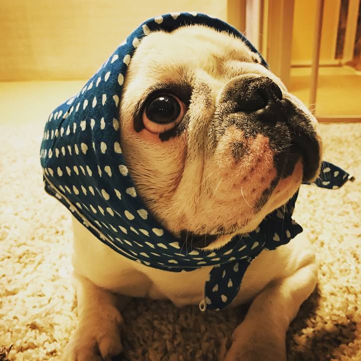 91ef0d5f e790 4af0 95e8 cbb5c5e64180