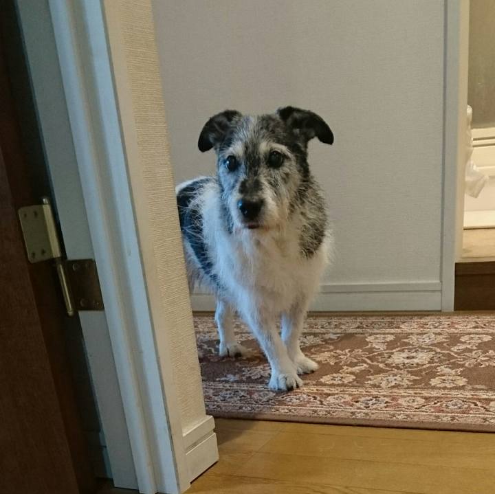 91ef0fb3 5e52 4034 9307 c2b4e20173e9