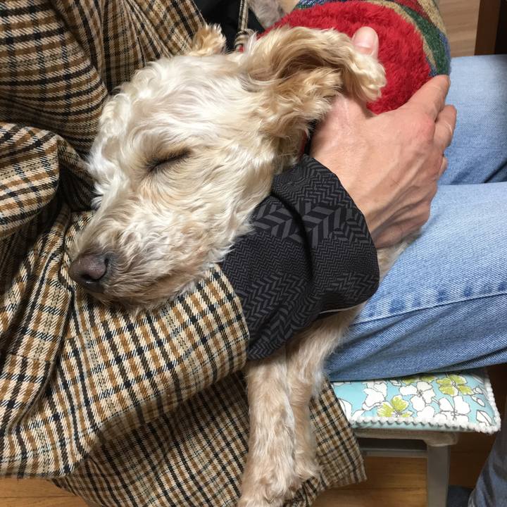 91ef9cc0 06e4 44a7 aa31 85736abeaf37