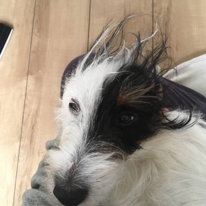 91f035d6 e182 4aca 87cb b16c6a631db4