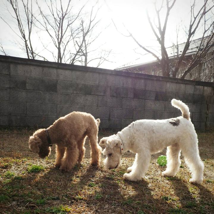 91f0d4ef e36e 47cc b5b0 6c1a4d0afd0d