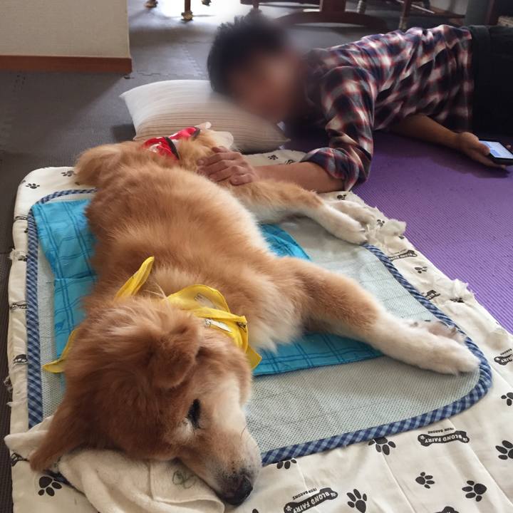 91f0faeb d161 4dc0 a916 321d41ee3180