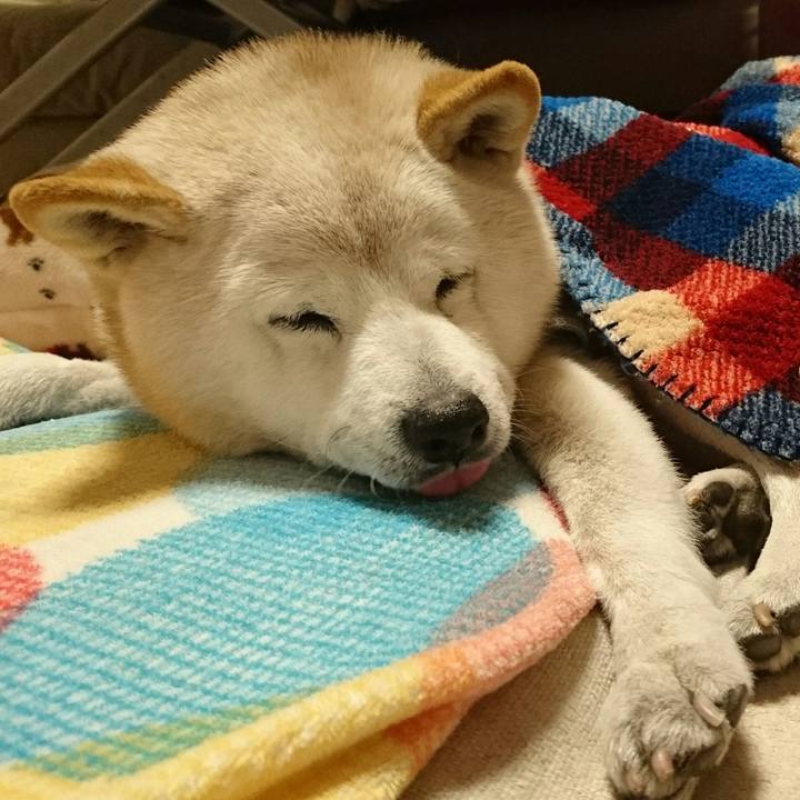 91f16ff8 31b9 49ba b829 eb859b4bf2b2