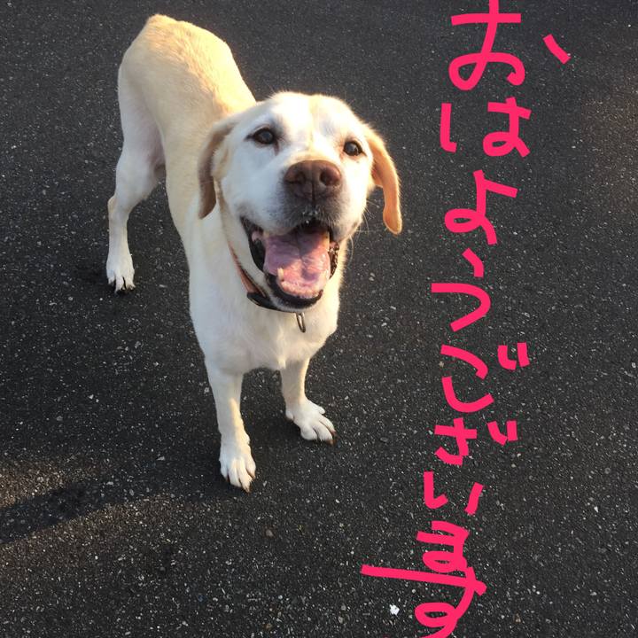 91f18ae7 b12c 4d7c 827c e7aa4df274e3