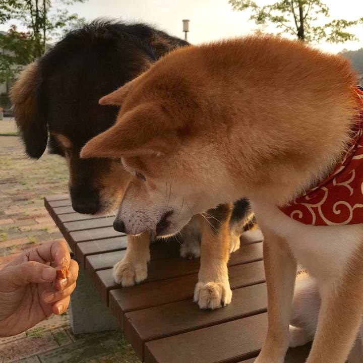 91f19f94 6957 4366 b25b ea1559e26e37